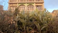 Two-story building with arched windows and balconies, surrounded by a stone wall and cactus plants in the foreground.