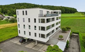 23 Immobilien in Rafz kaufen