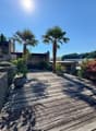Wooden deck, mesh fence, two palm trees, potted plants, gravel path, sunny day