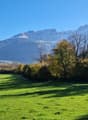 Open green field with trees, bushes and mountains in the background.