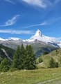 Immagine dell’oggetto