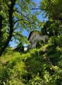 Immagine dell’oggetto
