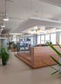 modern office with natural light, desks, chairs, potted plants, and reception area