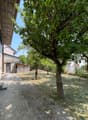 IMG_0923