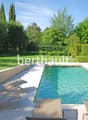 Small backyard, outdoor swimming pool, garden, trees, greenery, lawn, loungers