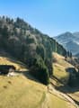 Immagine dell’oggetto