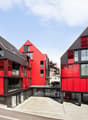 Malerberg_Weinfelder_Ebneter_3