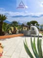 Outdoor area with fountain, tiled floor, various plants, and a view of mountains