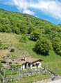 Immagine dell’oggetto