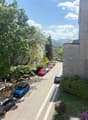 Cars parked on the side of the street, trees, bushes, and a building