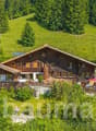 wooden house, hillside, large balcony, surrounded by green hills