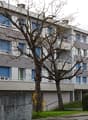 5004_-_Imm._BEC_31-33_-_Cote_entrees.JPG