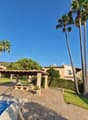 Outdoor swimming pool, palm trees, wooden pergola, bench, garden house, grassy lawn, manicured hedges