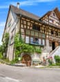 2 story traditional house, brown wooden walls, large windows, brick roof, brown wooden door, stairs with plants and flowers, bicycle near the stairs