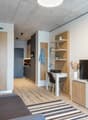 Open-concept studio apartment with concrete ceiling, wood-paneled walls, hardwood flooring, sofa, TV stand, desk, shelving unit, and a refrigerator visible in the kitchenette area.