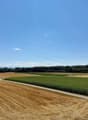Ausblick