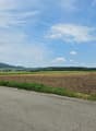 A road with some grass and a field of crops with hills in the distance.