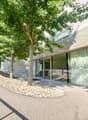 Stone wall, glass windows, trees, paved pathway, stairs, fire hydrant