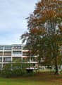 Multi-story apartment building with balconies, surrounded by trees with autumn foliage, grassy area in the foreground