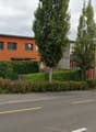 Orange residential building on the street, hedges on the side of the street, trees and bushes around.