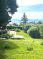 well-maintained garden with various plants, a table and chairs, a flag, and a house in the background
