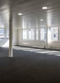 empty room with carpeted floor, white walls, high ceilings, multiple windows