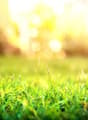 Objektbild