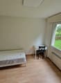 single bed, desk, chair, white walls, wooden floor, large window with outdoor view