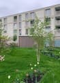 Silbergarten_7_1.jpg