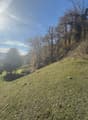 Large grassy slope, trees, building in background, sunny, mountain view, dry leaves