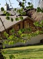 Detached house with wood exterior, grey roof, garden in front