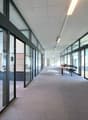 Empty office hallway with glass walls, carpeted floor, meeting room table and chairs, fluorescent lights