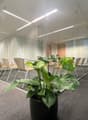 Large open office space with glass walls, modern furniture, and potted plants. The space has a bright and airy feel with ample natural lighting.