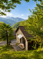 Immagine dell’oggetto