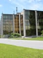 Modern office building, glass facade, multiple floors, surrounded by greenery, road in front