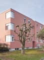 Liegenschaft