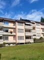 Immagine dell’oggetto