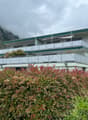 Immagine dell’oggetto