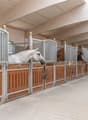 multiple horse stables, white and brown horses, metal and wooden bars