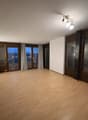 open space, large windows, balcony, hardwood floor
