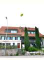 Listing picture