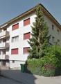 Immagine dell’oggetto