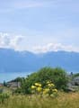Aussicht / Vue / View / Panorama