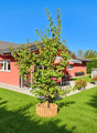 Villa exterieur.png