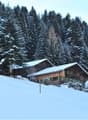 small wooden cottage in the middle of a snowy mountain with pine trees around it