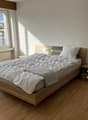 Spacious bedroom with hardwood flooring, large windows providing natural light, a wooden bed frame with a gray comforter, and two nightstands with drawers.