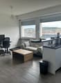 Immagine dell’oggetto