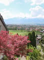 Immagine dell’oggetto