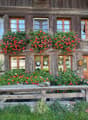 Traditional wooden house with flower boxes, wooden door, wooden bench, car parked in front