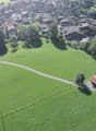 a vast green field with trees, houses with brown roofs and a paved road running through the village